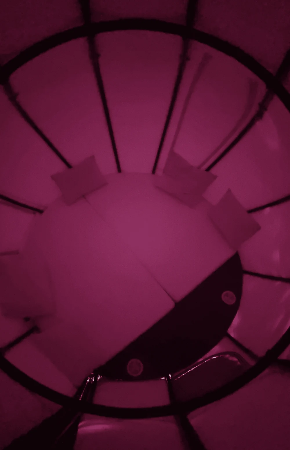 Эдна всесезон  500 000 ₽ 