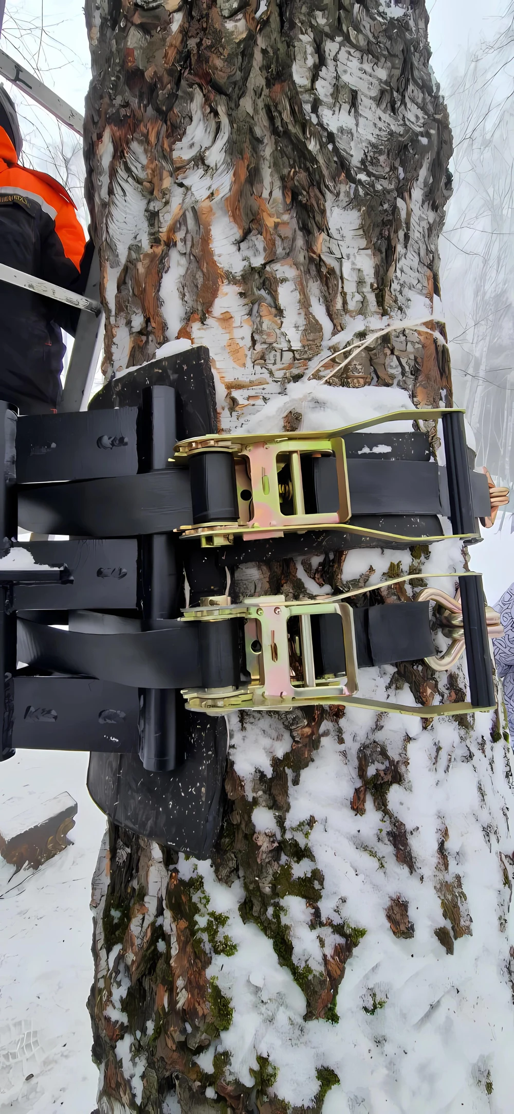 Эдна стандарт 360 000 ₽